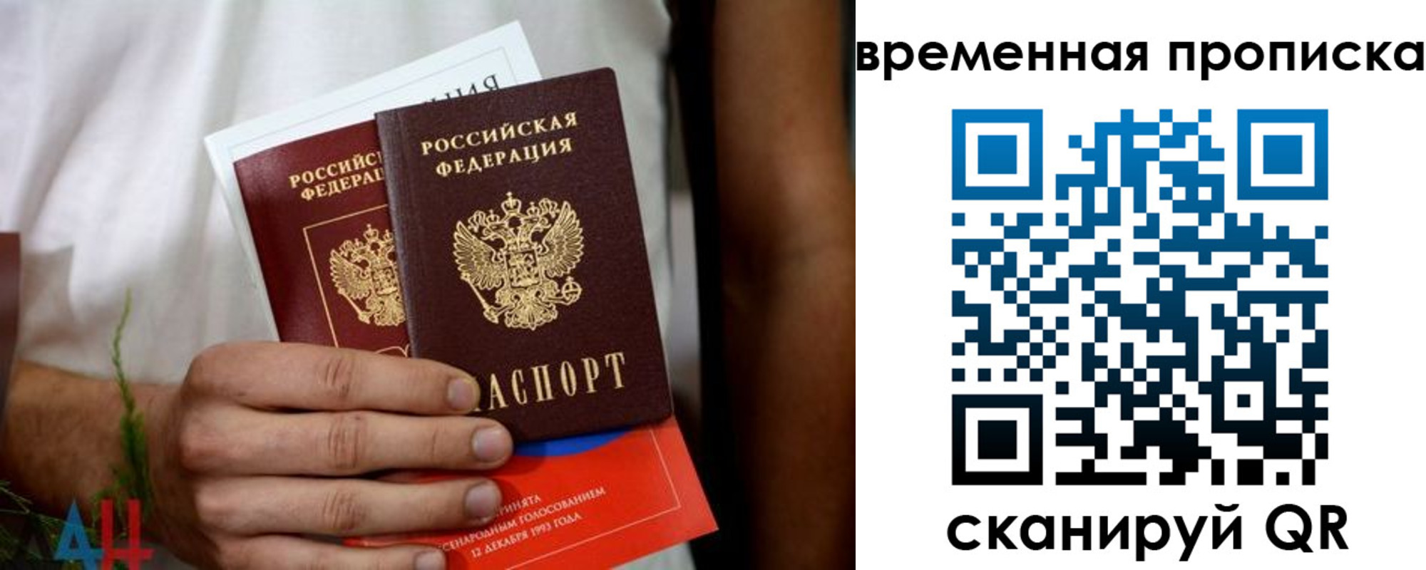 временная регистрация для всех в Курске